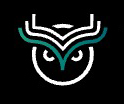 WISE logo